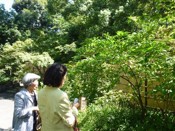 徳川園では、長月の旬な花「セブラン」を眺めながら散策。

徳川美術館では、尾張徳川家ゆかりの「大名道具」等を観賞。

昼食は、宝善亭で季節料理を堪能しました。



